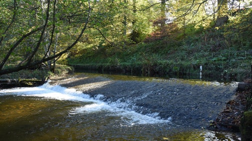 Water flowing over the weir on Crowdundle Beck at Acorn Bank, Cumbria